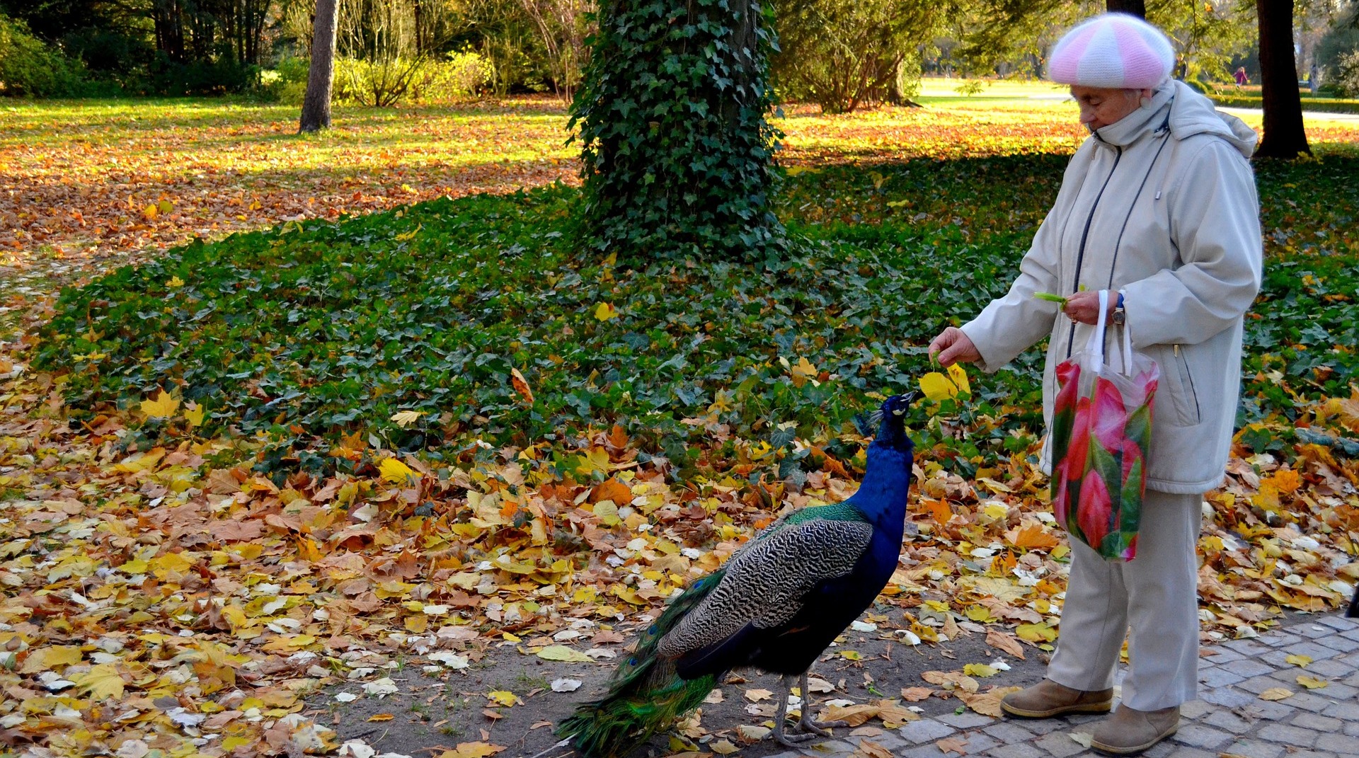 Warszawa Przyjazna Seniorom I